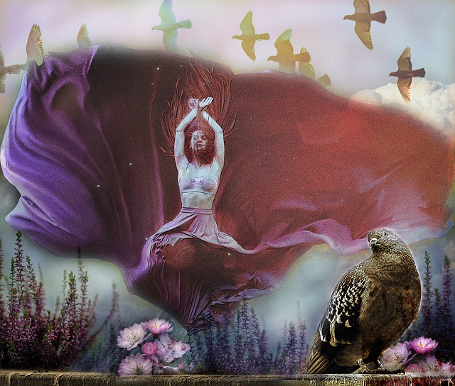 特两位新秀 特两位新秀