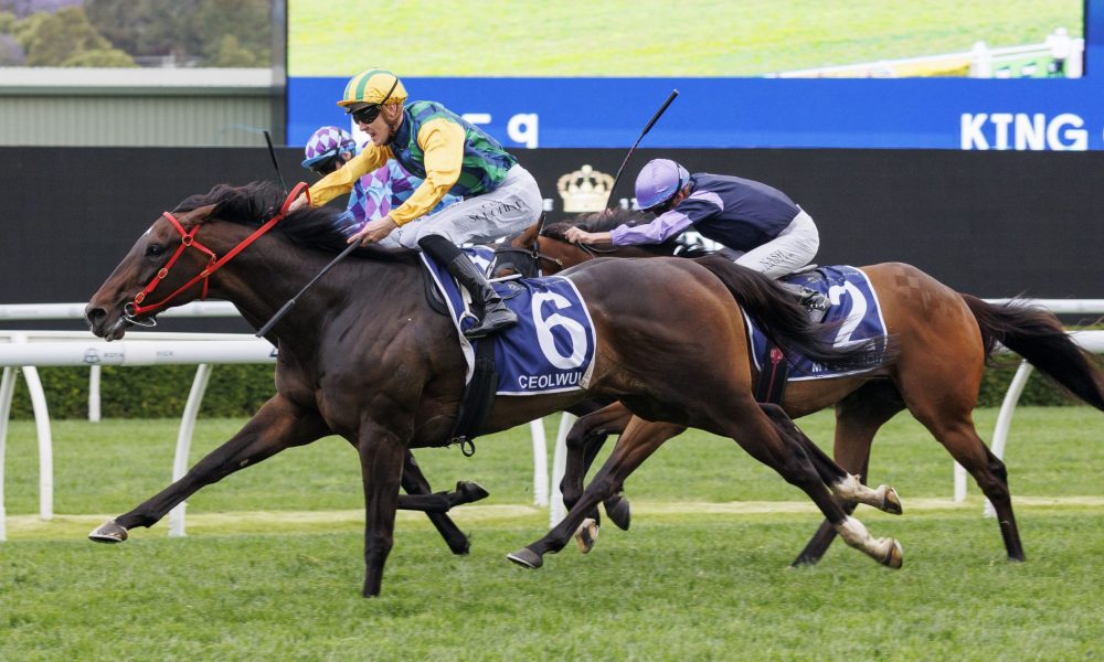 球率达到 球率达到